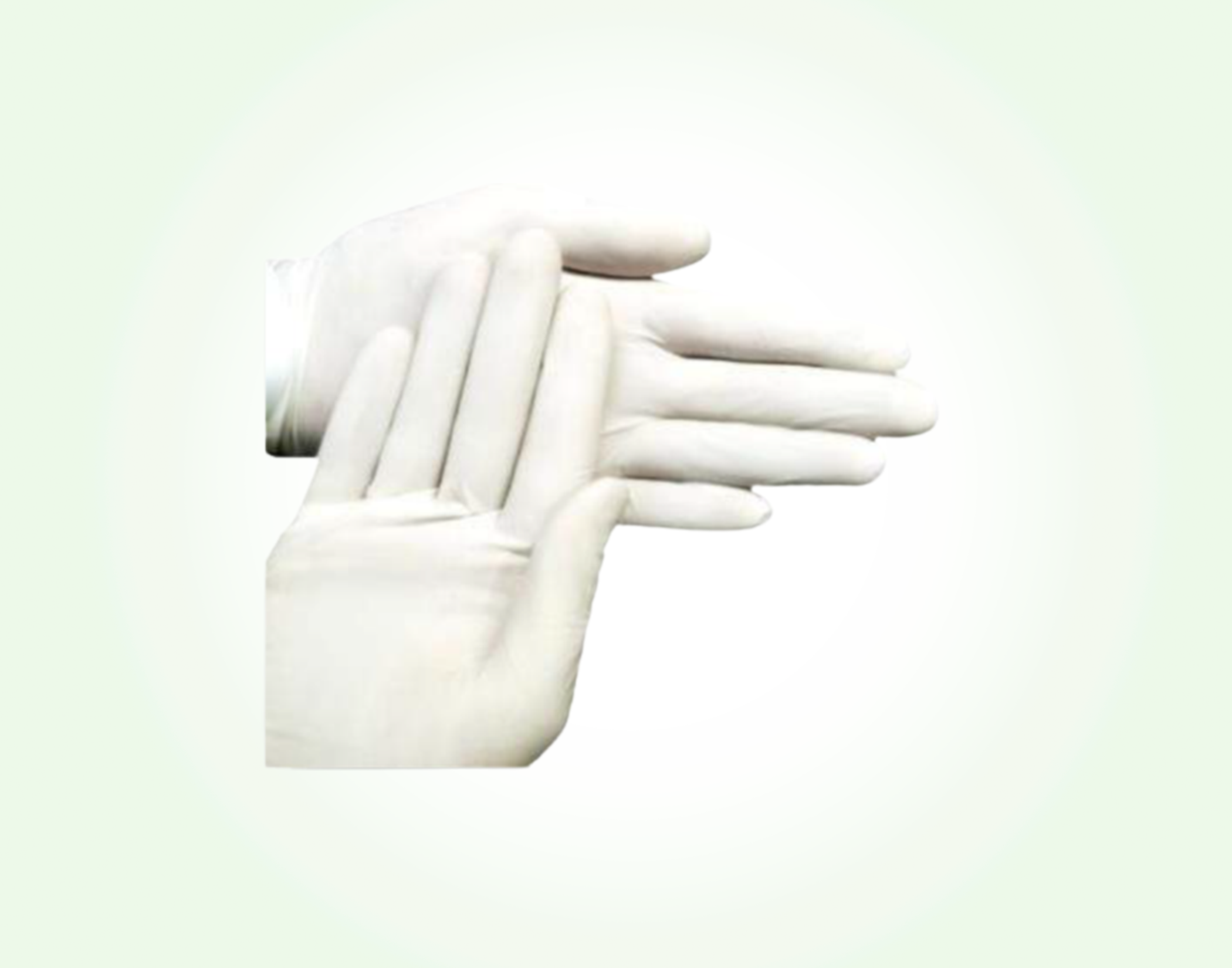 Others  --  Examination_Gloves__Latex_Powder_Free